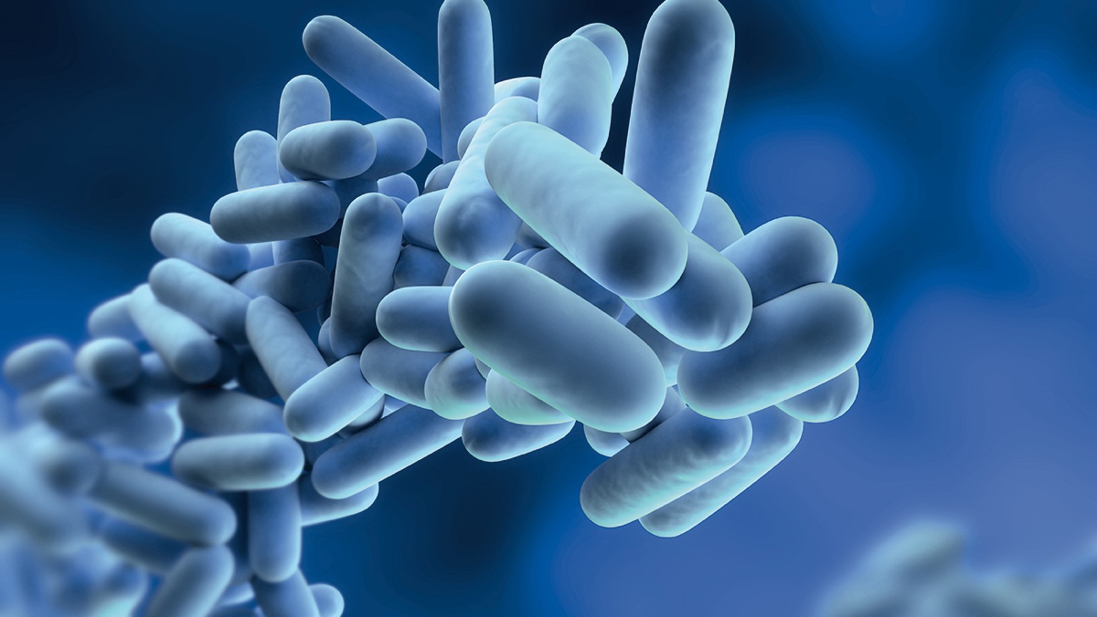 Legionella pneumophila (© Geberit)
